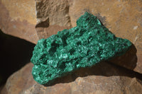 Natural Chatoyant Silky Malachite Specimens  x 12 From Congo