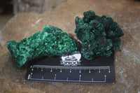 Natural Chatoyant Silky Malachite Specimens  x 12 From Congo