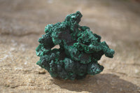 Natural Chatoyant Silky Malachite Specimens  x 12 From Congo