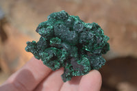 Natural Chatoyant Silky Malachite Specimens  x 12 From Congo