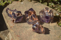 Polished Window Amethyst Crystals x 4 From Ankazobe, Madagascar