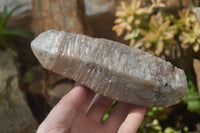 Natural Celestial Layered Window / Candle Quartz Specimens  x 2 From Madagascar