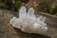 Natural Clear Quartz Crystal Clusters  x 6 From Madagascar