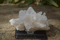 Natural Clear Quartz Crystal Clusters  x 6 From Madagascar