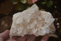 Natural Clear Quartz Crystal Clusters  x 6 From Madagascar