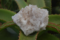 Natural Clear Quartz Crystal Clusters  x 6 From Madagascar