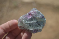 Natural Rough Watermelon Fluorite Cobbed Specimens  x 35 From Namibia