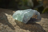 Natural Rough Watermelon Fluorite Cobbed Specimens  x 35 From Namibia