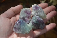 Natural Rough Watermelon Fluorite Cobbed Specimens  x 35 From Namibia