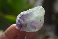 Natural Rough Watermelon Fluorite Cobbed Specimens  x 35 From Namibia