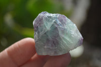 Natural Rough Watermelon Fluorite Cobbed Specimens  x 35 From Namibia