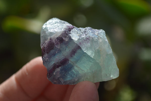 Natural Rough Watermelon Fluorite Cobbed Specimens  x 35 From Namibia