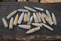 Natural Cretaceous Belemnite Fossils  x 38 From Madagascar