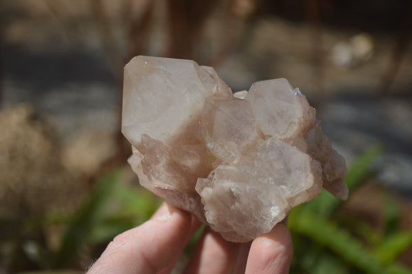 Natural Cascading Smokey Quartz Clusters x 3 From Luena, Congo