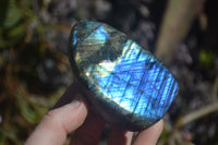 Polished Labradorite Standing Free Forms  x 6 From Tulear, Madagascar