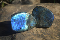 Polished Labradorite Standing Free Forms  x 6 From Tulear, Madagascar