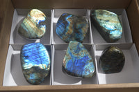 Polished Labradorite Standing Free Forms  x 6 From Tulear, Madagascar