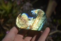 Polished Labradorite Standing Free Forms  x 6 From Tulear, Madagascar