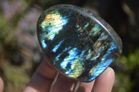 Polished Labradorite Standing Free Forms  x 6 From Tulear, Madagascar