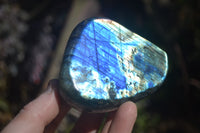 Polished Labradorite Standing Free Forms  x 6 From Tulear, Madagascar