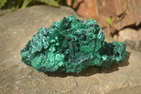 Natural Chatoyant Silky Malachite Specimen x 1 From Kasompe, Congo