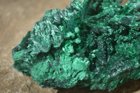 Natural Chatoyant Silky Malachite Specimen x 1 From Kasompe, Congo