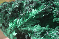 Natural Chatoyant Silky Malachite Specimen x 1 From Kasompe, Congo