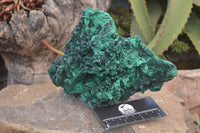 Natural Chatoyant Silky Malachite Specimen x 1 From Kasompe, Congo