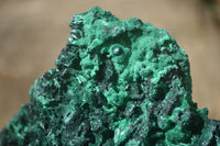 Natural Chatoyant Silky Malachite Specimen x 1 From Kasompe, Congo