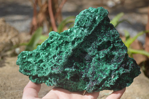 Natural Chatoyant Silky Malachite Specimen x 1 From Kasompe, Congo