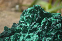 Natural Chatoyant Silky Malachite Specimen x 1 From Kasompe, Congo