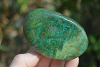 Polished Green Verdite Galet / Palm Stones x 6 From Zimbabwe