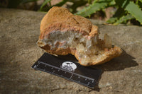 Natural Golden Limonite Quartz Clusters x 6 From Zambia