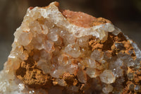 Natural Golden Limonite Quartz Clusters x 6 From Zambia