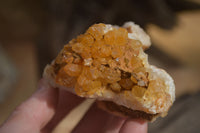 Natural Golden Limonite Quartz Clusters x 6 From Zambia