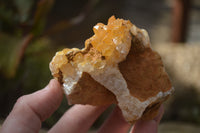 Natural Golden Limonite Quartz Clusters x 6 From Zambia