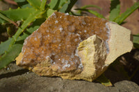 Natural Golden Limonite Quartz Clusters x 6 From Zambia