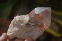 Natural Red Hematoid Quartz Specimens x 4 From Karoi, Zimbabwe