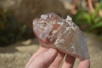 Natural Red Hematoid Quartz Specimens x 4 From Karoi, Zimbabwe