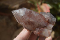 Natural Red Hematoid Quartz Specimens x 4 From Karoi, Zimbabwe