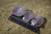 Natural Jacaranda Amethyst Crystals x 35 From Mumbwe, Zambia