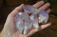 Natural Jacaranda Amethyst Crystals x 35 From Mumbwe, Zambia