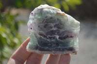 Polished One Side Polished Watermelon Fluorite Pieces  x 6 From Uis, Namibia