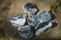 Polished One Side Polished Watermelon Fluorite Pieces  x 6 From Uis, Namibia