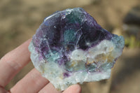 Polished One Side Polished Watermelon Fluorite Pieces  x 6 From Uis, Namibia