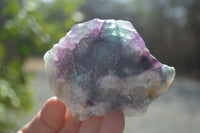 Polished One Side Polished Watermelon Fluorite Pieces  x 6 From Uis, Namibia