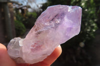 Natural Jacaranda Amethyst Crystals x 20 From Mumbwe, Zambia