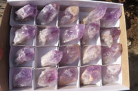 Natural Jacaranda Amethyst Crystals x 20 From Mumbwe, Zambia