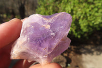 Natural Jacaranda Amethyst Crystals x 20 From Mumbwe, Zambia