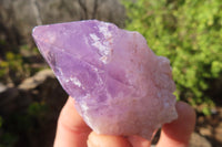 Natural Jacaranda Amethyst Crystals x 20 From Mumbwe, Zambia